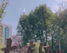 大东江公园5