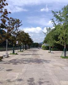 武岭西路商业步行街4