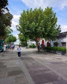 武岭西路商业步行街6
