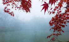 姚江公园2