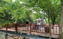益马当鲜桂语零号乐园5