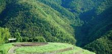 液态熊象山露营地1