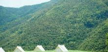 液态熊象山露营地3