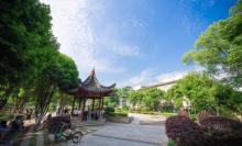 马园公园5