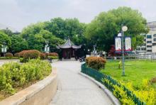 马园公园2