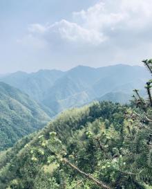 逐步村2