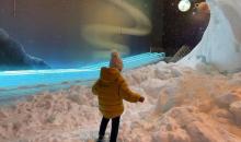 北极王国冰雪世界5