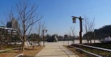 玉皇山公园2