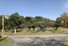 玉皇山公园1
