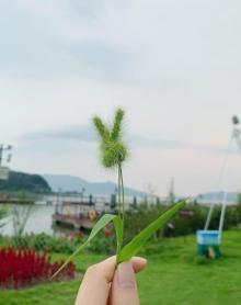 东钱湖上水帐篷营地8