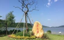 东钱湖上水帐篷营地6