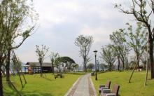 东钱湖上水帐篷营地4