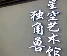 宁波独角兽星空艺术馆1