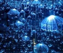 宁波独角兽星空艺术馆4