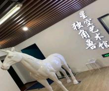 宁波独角兽星空艺术馆3