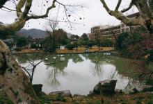 峙山公园18