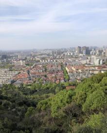 峙山公园15