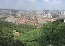 峙山公园10
