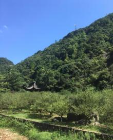 九峰山网岙景区30
