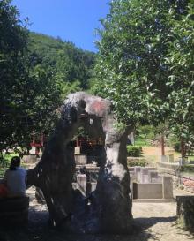 九峰山网岙景区28