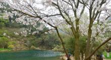 九峰山网岙景区2