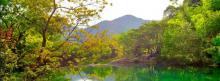 九峰山网岙景区7