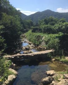 九峰山网岙景区27