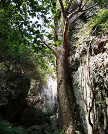 雁苍山风景区4