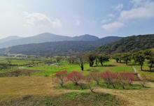 朱家尖大青山景区21