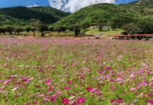 朱家尖大青山景区5