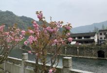 李家坑古村落9