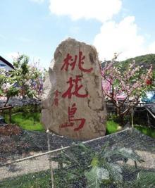 桃花岛风景区14