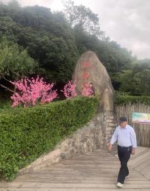 桃花岛风景区16