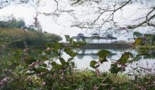 四明山地质公园景区6