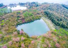 四明山地质公园景区1