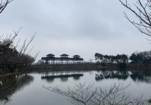 四明山地质公园景区5