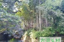 方家河头村20