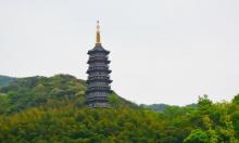 天童国家森林公园7