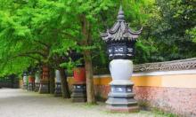 天童国家森林公园8