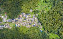 冠佩村2