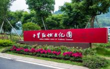 十里红妆博物馆3