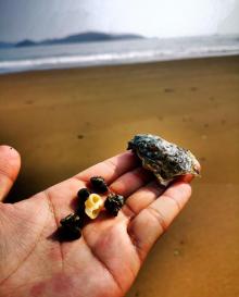 鹤浦镇沙滩4