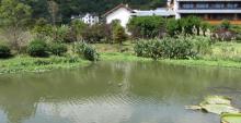 朱家尖风景区14