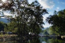 鹿亭中村12