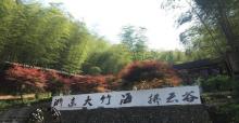 浙东大竹海景区11
