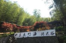 浙东大竹海景区19