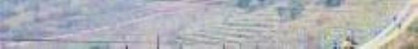 绿野欢乐谷26