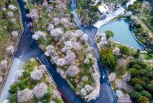 绿野欢乐谷18