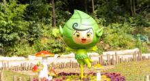 象山精灵谷2