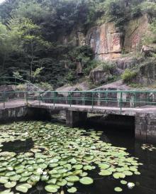 伍山海滨石窟13